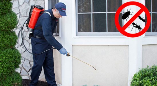 Sinop Böcek ve Haşere İlaçlama böcek ilaçlama ve haşere kontrolü — ilaclama-tr.com